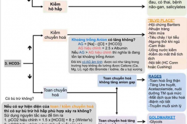 KHÍ MÁU ĐỘNG MẠCH CÁC THÔNG SỐ