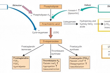 Related course image