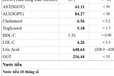 TỔN THƯƠNG GAN DO RƯỢU
